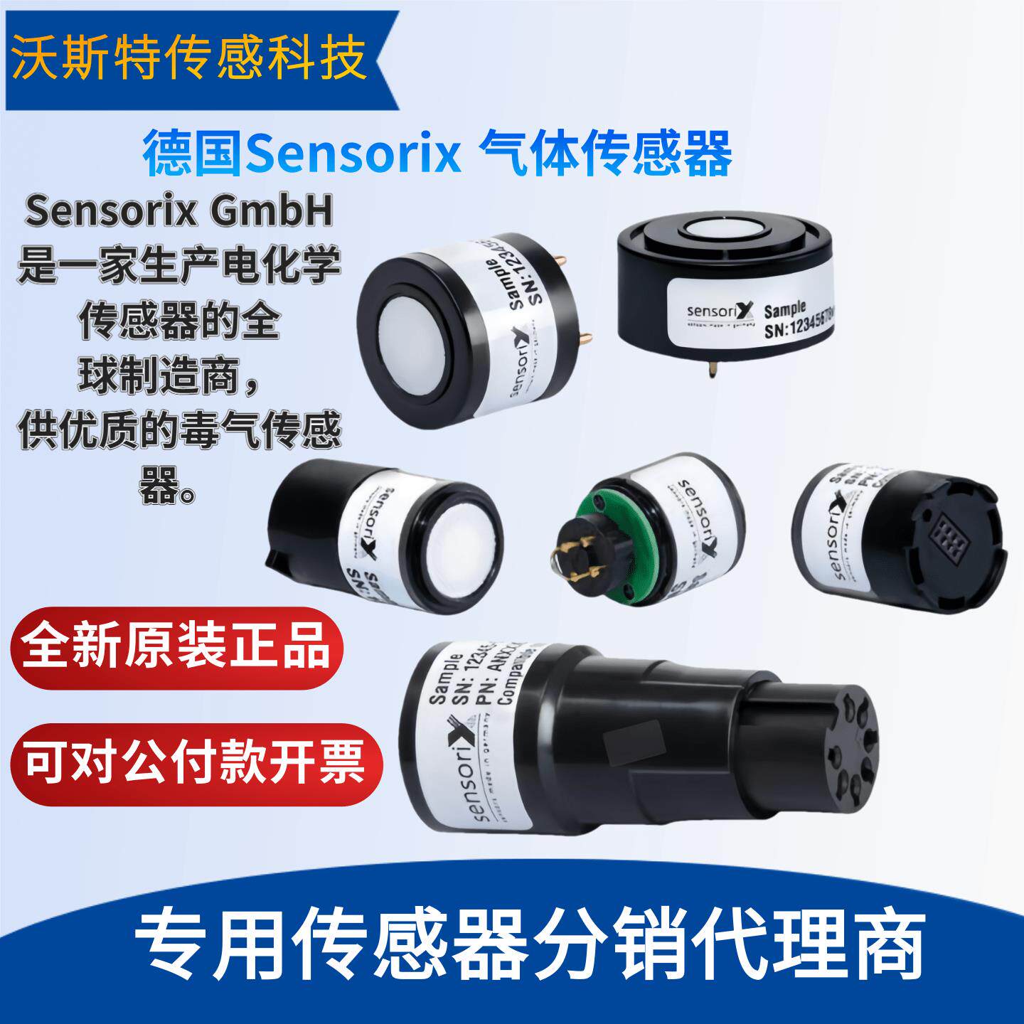 B2H6 1 LT AN254400 AN254700 德国Sensorix 硼烷感测器 1ppm
