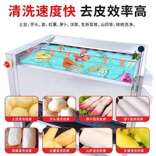 多功能土豆清洗去皮机生姜芋头莲藕萝卜红薯去泥脱皮生蚝马蹄清洗