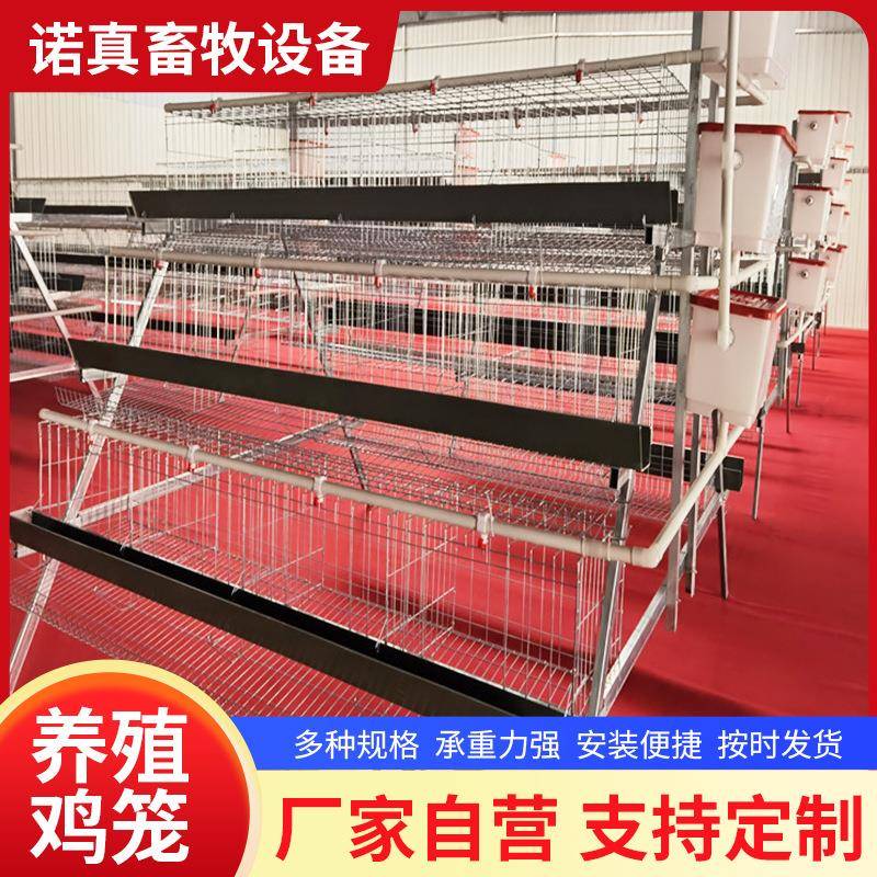 阶梯蛋鸡笼热镀锌蛋鸡笼3层4层蛋鸡笼3层4门蛋鸡笼白槽绿槽
