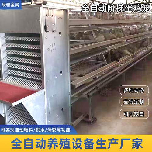 阶梯蛋鸡笼自动上料集蛋清粪养殖机械设备A型四层鸡舍养殖蛋鸡笼