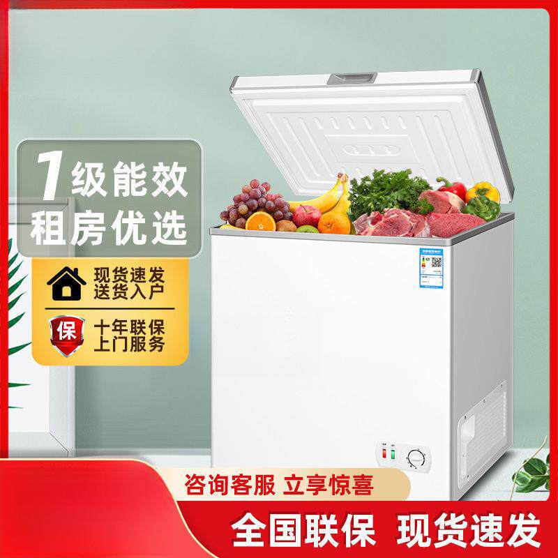 租房小冰柜家用全冷冻冷藏两用商用展示柜卧式小型冰箱保鲜