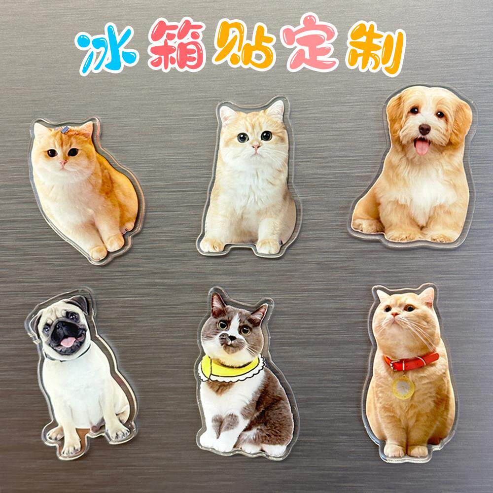 立体亚克力冰箱贴磁贴定制照片宠物卡通可爱治愈系狗狗猫咪磁力贴