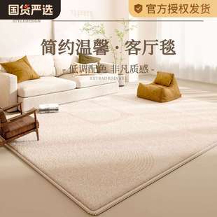 免洗可擦轻奢高级感沙发家用奶油风卧室床边地垫 地毯客厅2025新款