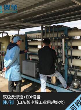 8吨/时双级反渗透设备建材电子实验室2去离子水EDI超纯水处理厂家