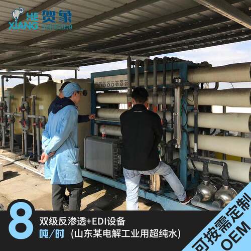 8吨/时双级反渗透设备建材电子实验室2去离子水EDI超纯水处理厂家
