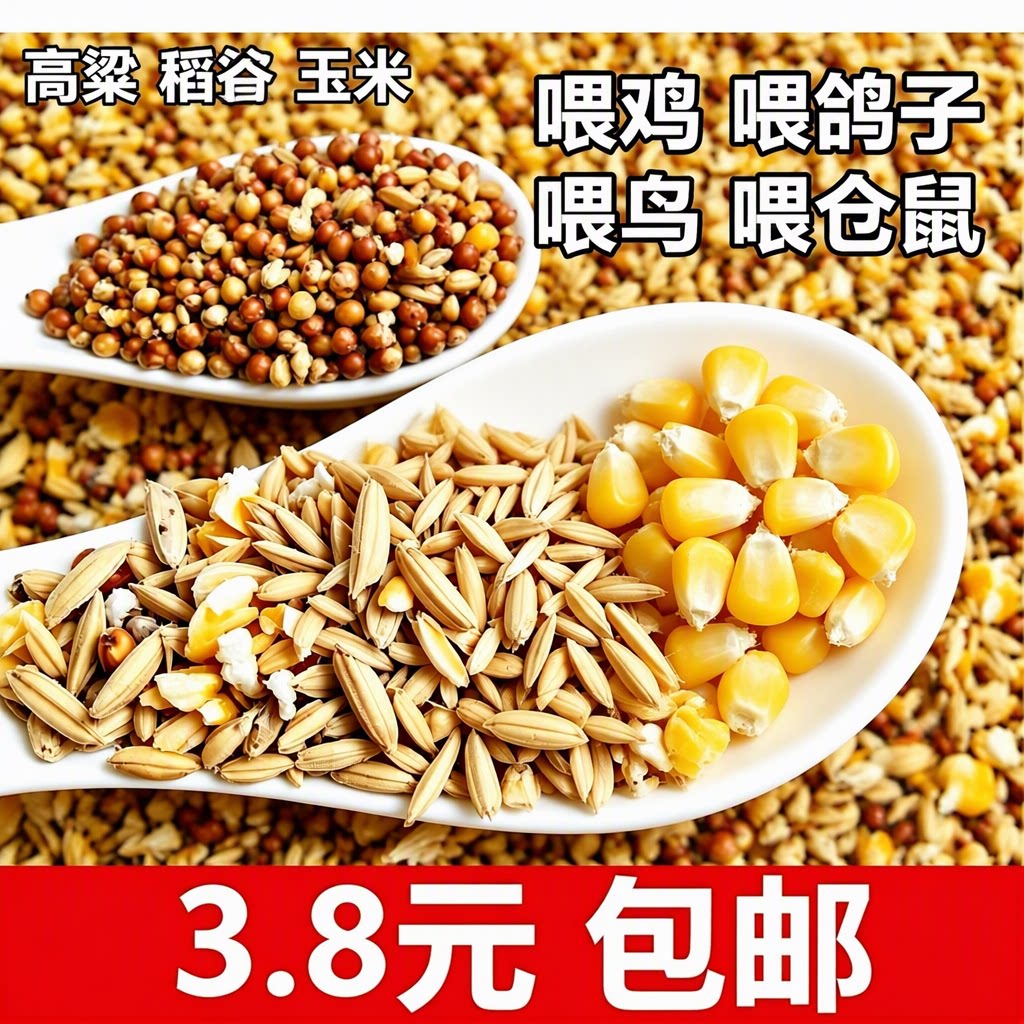喂鸡喂鸟喂鸽子喂仓鼠鸟食鸽粮食高粱稻谷玉米粒混合渣糁保健砂