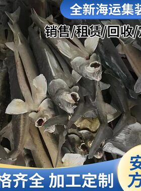 冷藏集装箱租赁移动冷库蔬菜水果肉类鱼虾保鲜冷冻库货柜冷链专用