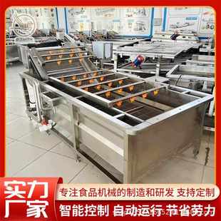 商用百香果清洗机 大型小黄姜清洗设备 连续式 大姜浸泡喷淋清洗机