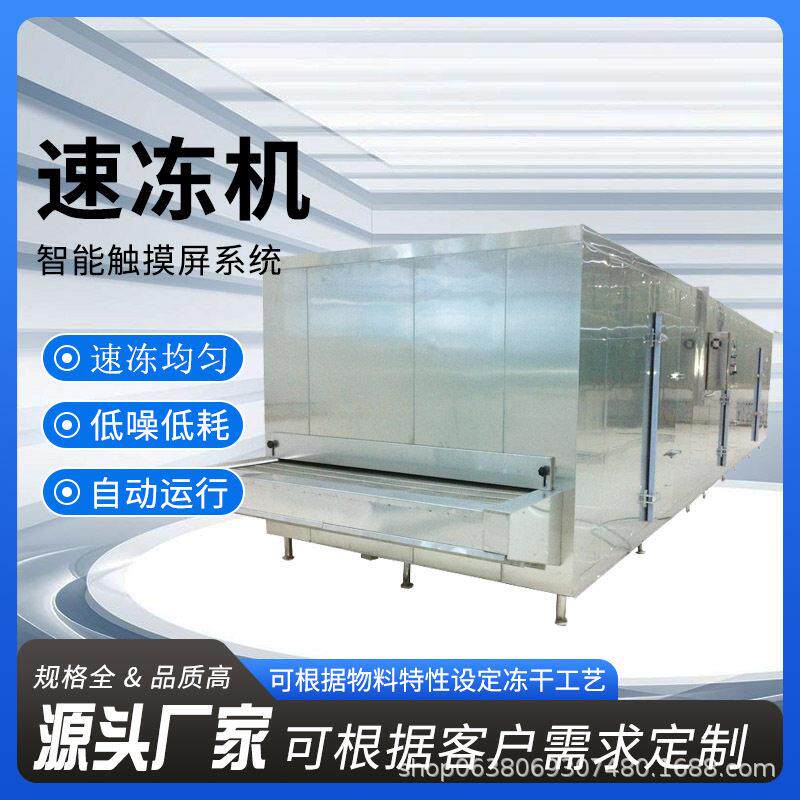 商用舌头鱼速冻设备 大虾快速冷冻生产线 多鱼鲈鱼低温速冻机