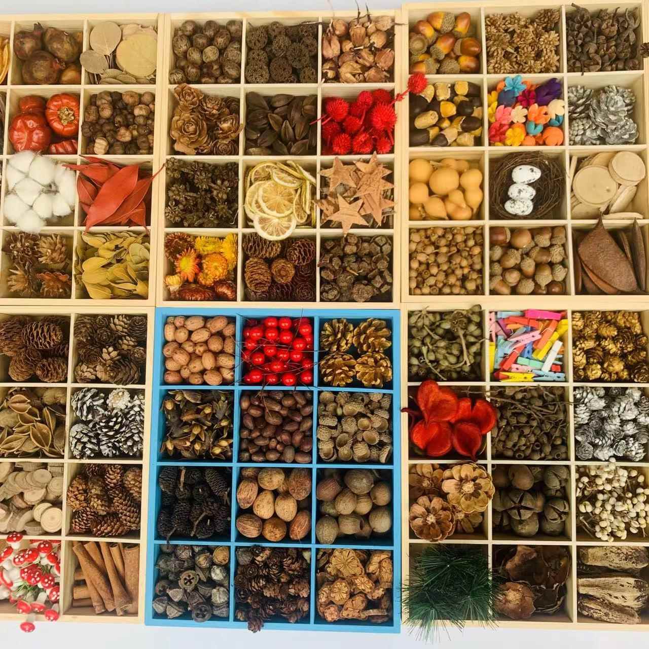 100种干果壳松果木片橡果花环落叶手工幼儿园装饰天然材料森系拍