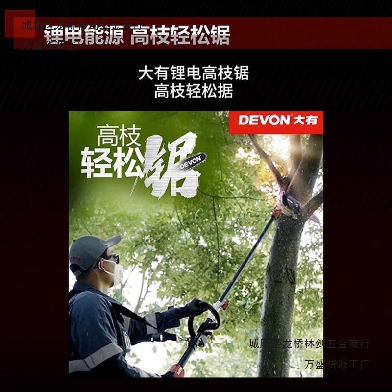 大有电动修枝剪果树果园剪枝修剪充电式园艺园林锂电高枝剪4558
