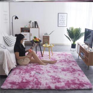 Carpets Plush carpet bedroom rug blanket floor mat 地毯地垫