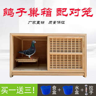 鴿具鴿子用品信鴿種鴿巢箱配對籠大號賽鴿賽飛籠鴿籠子養(yǎng)殖籠大型