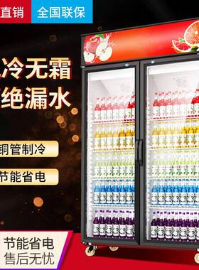 冰立方便利店用啤酒饮料立式冷柜商用超市冷藏冰柜鲜花冷藏展示柜