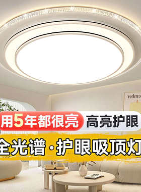 客厅大灯简约现代大厅主灯2024新款卧室房间灯具家用led吸顶灯
