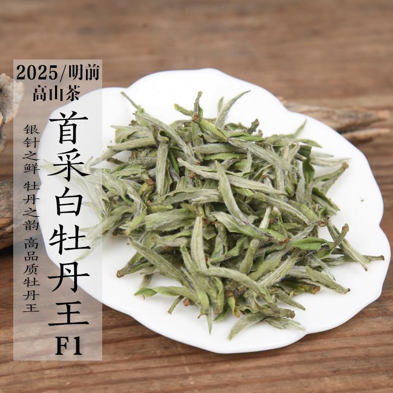 新茶2025年头春首采白牡丹王F1 高品质白牡丹清明前政和白茶