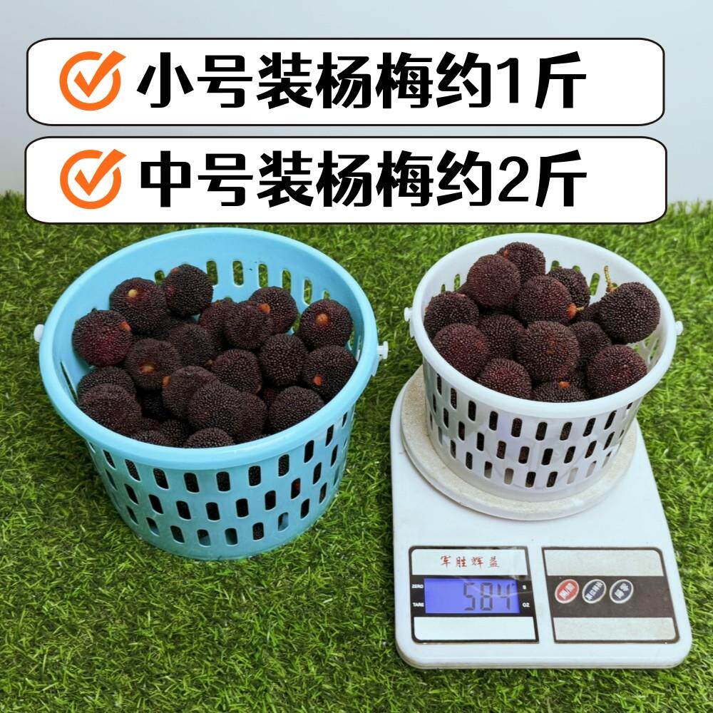 蓝莓包装篮包装桶圆采摘篮杨梅小篮子塑料小桶樱桃篮小白篮带盖子