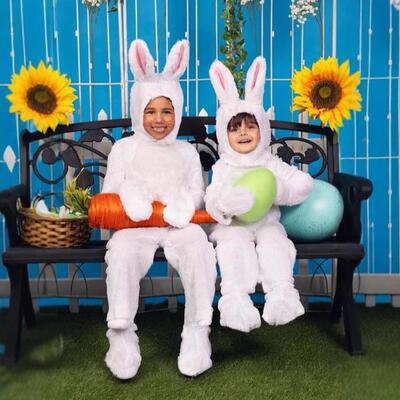 Easter egg cartoon plush rabbit animal doll performance