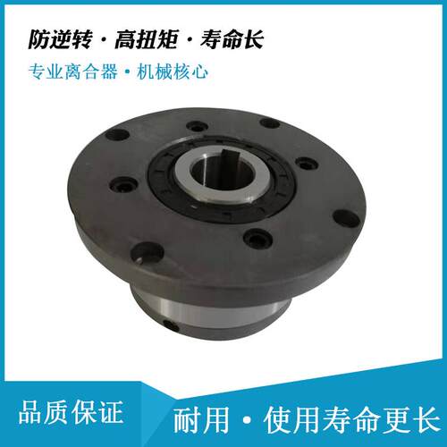 送料离合器GFR25F1F2给料离合器GLG25F1F2用于治金机械、连铸机