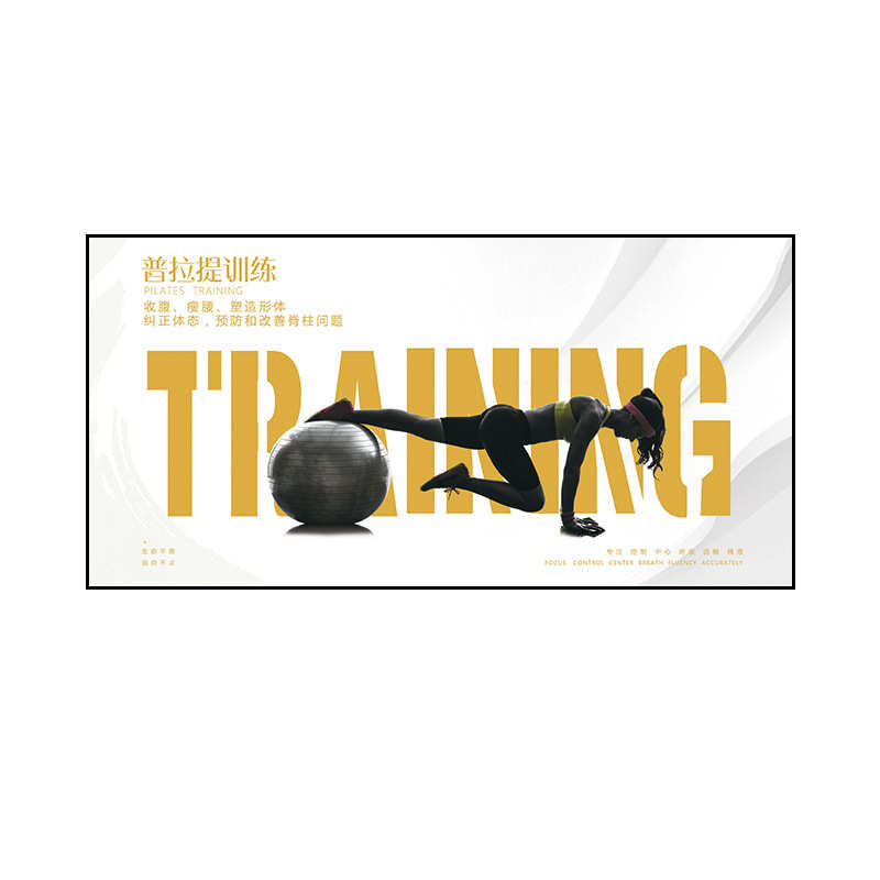 普拉提装饰画瑜伽馆训练挂画健身私教形体塑身工作室壁画运动海报