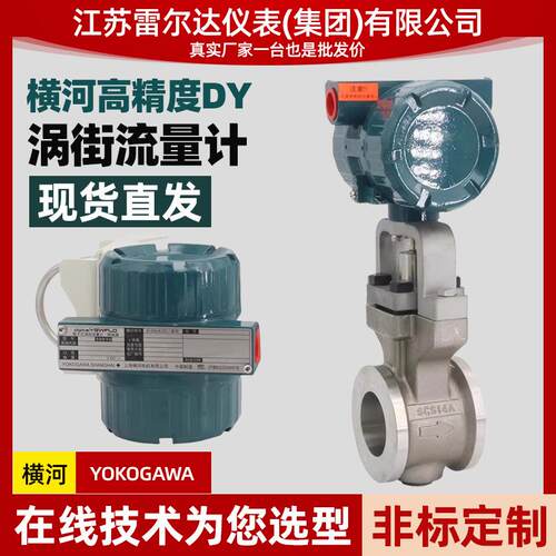 涡街流量计 蒸汽流量计 DY100 测量精准 4-20MA HART通信正品