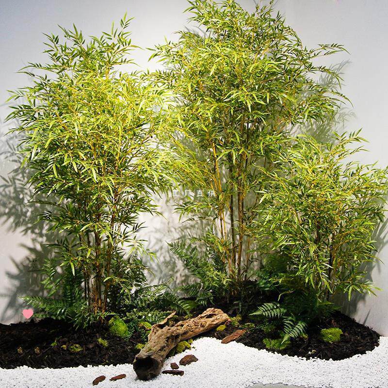 落地竹子盆栽样板房室内装饰隔断植物庭院橱窗中式禅意造景
