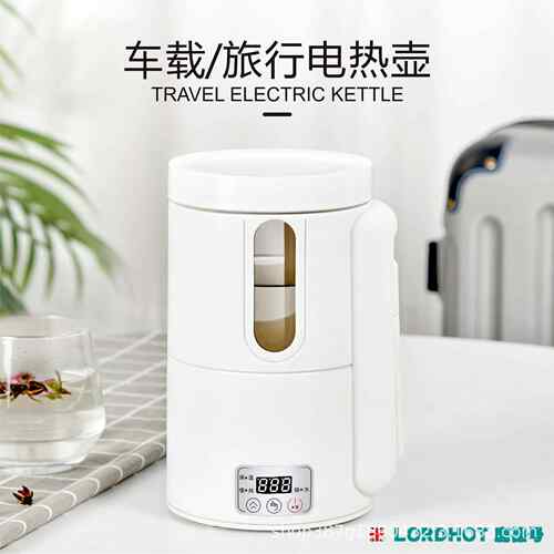 新款直销车家两用养生壶车载烧水壶800ml车载家用养生炖煮杯便携