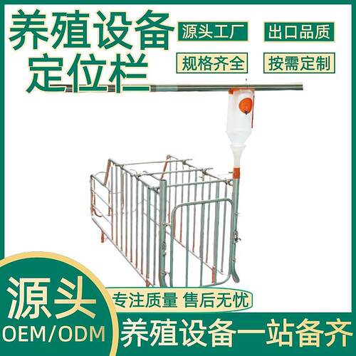 正红农牧养殖设备养殖场定位栏母猪热浸锌定位栏落地式限位栏