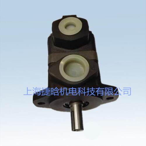 供应V10-P1S-1C20-R叶片泵 V10 V20电动铸铁叶片泵