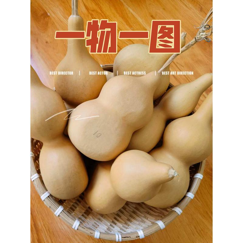 一物一图大中号八宝胖墩夹扁异形嘞扎文玩天然葫芦家居挂件酒壶