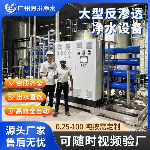 30吨大型RO反渗水处理设备工业净水器去离子直饮水机纯水机水软化