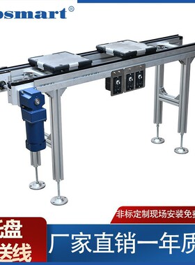 TPS01托盘输送线双列皮带输送机输送线玻璃输送流水线厂家