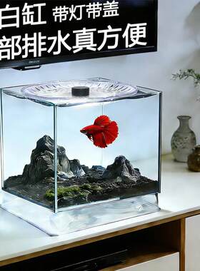 懒人底部带排水超白玻璃桌面鱼缸自循环过滤一体迷你客厅小正方形