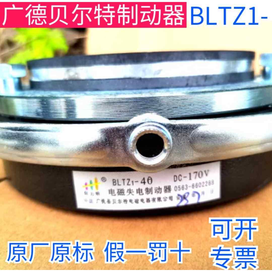广德县贝尔特电磁失电制动器BLTZ1-040508153033Y4072Y80150200