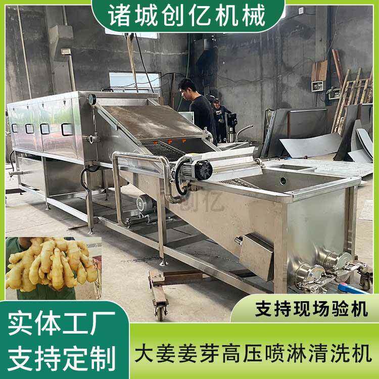 现货生姜清洗机 秋葵气泡喷淋清洗机自动提升 姜黄去泥清洗机设备