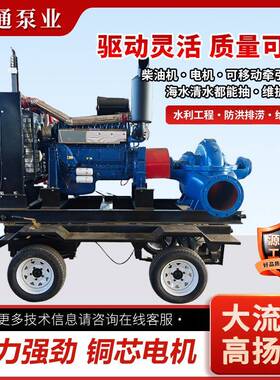 大流量中开泵高扬程双吸泵单极清水泵SSH离心泵高标准农田灌溉泵