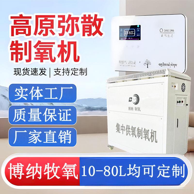 小型变压吸附分子筛制氧设备PSA制氧机原酒店民宿弥散供氧设备