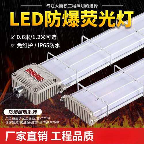 LED防爆灯荧光灯日光灯长双管车间仓库厂房防尘防腐照明