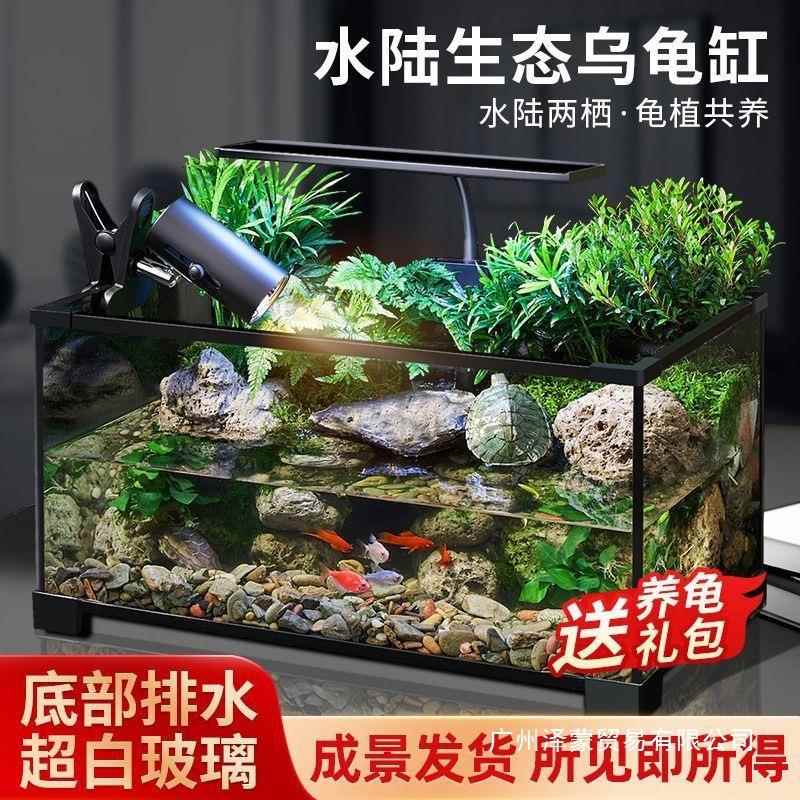 乌龟缸高清玻璃生态造景龟鱼缸一体混养生态缸客厅专用家用饲养缸