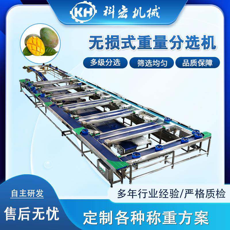 机械无损式重量分选机榴莲凯特芒智能分选皇冠梨雪梨分拣