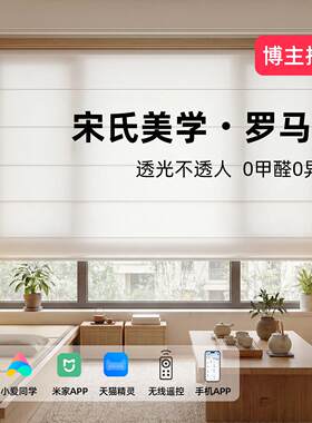 智能电动罗马帘窗帘茶室书房专用百叶窗户透光不透人升降拉式卷帘