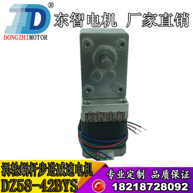 DZ58-42BYS双出轴可调速步进减速电动机/智能晾衣架/微型直流马达
