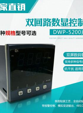 厂家直销智能双回路温度控制器DWP-5200压力控制器液位控制器