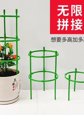 花架子室内家用爬藤架火龙果月季蟹爪兰绿萝太阳花植物爬藤支撑杆