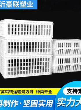 鸡鸭鹅VNS运输方笼笼料养殖场运输笼子耐用周透气转箱加厚储物商