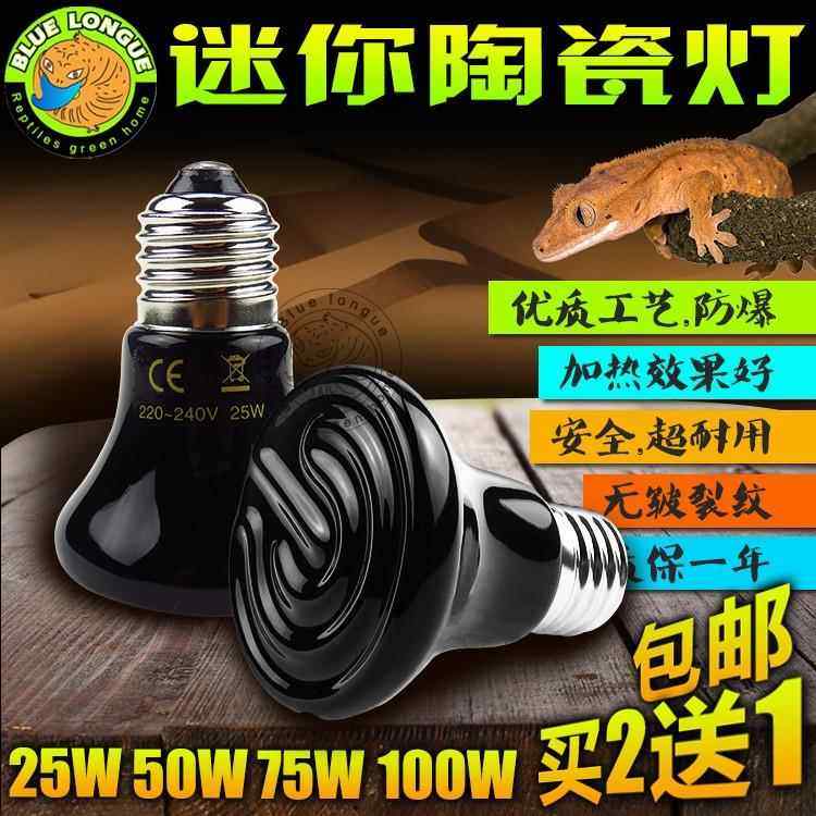 陆龟蜥蜴爬虫箱陶瓷加热灯陶瓷保温灯宠物蛇刺猬饲养箱鹦鹉用品,宠物/宠物食品及用品,爬宠缸/箱,淘宝优惠券,粉丝福利购,淘宝优惠卷