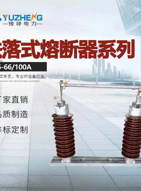 66KV高压熔断器RW6-66KV/100A跌落式熔断器质量保证