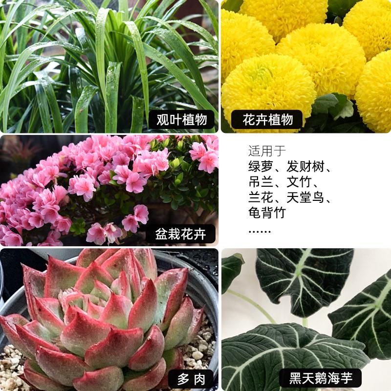 深邦花卉专用缓释肥多肉植物营养通用氮磷钾种花肥盆栽园艺缓释片