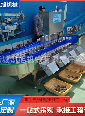 小型自动选果机 牛油果多规格称重分选机 果蔬分拣设备厂家