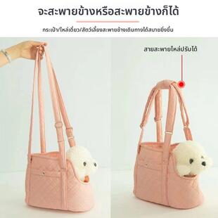 小体便携外出猫咪宠物猫狗狗茶杯透气包泰迪小型背包大容量冬季AI